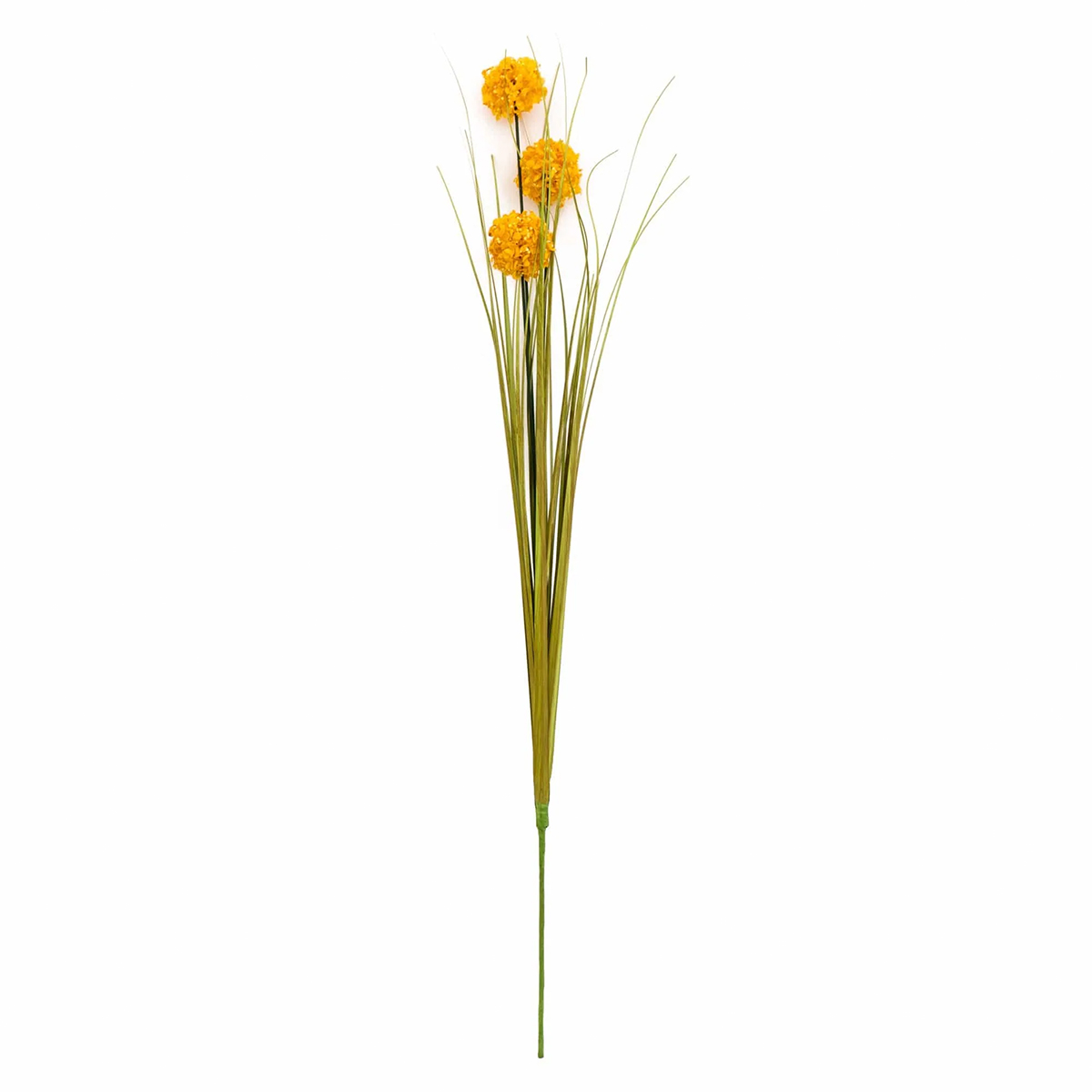 Billy Button Head Yellow Stem