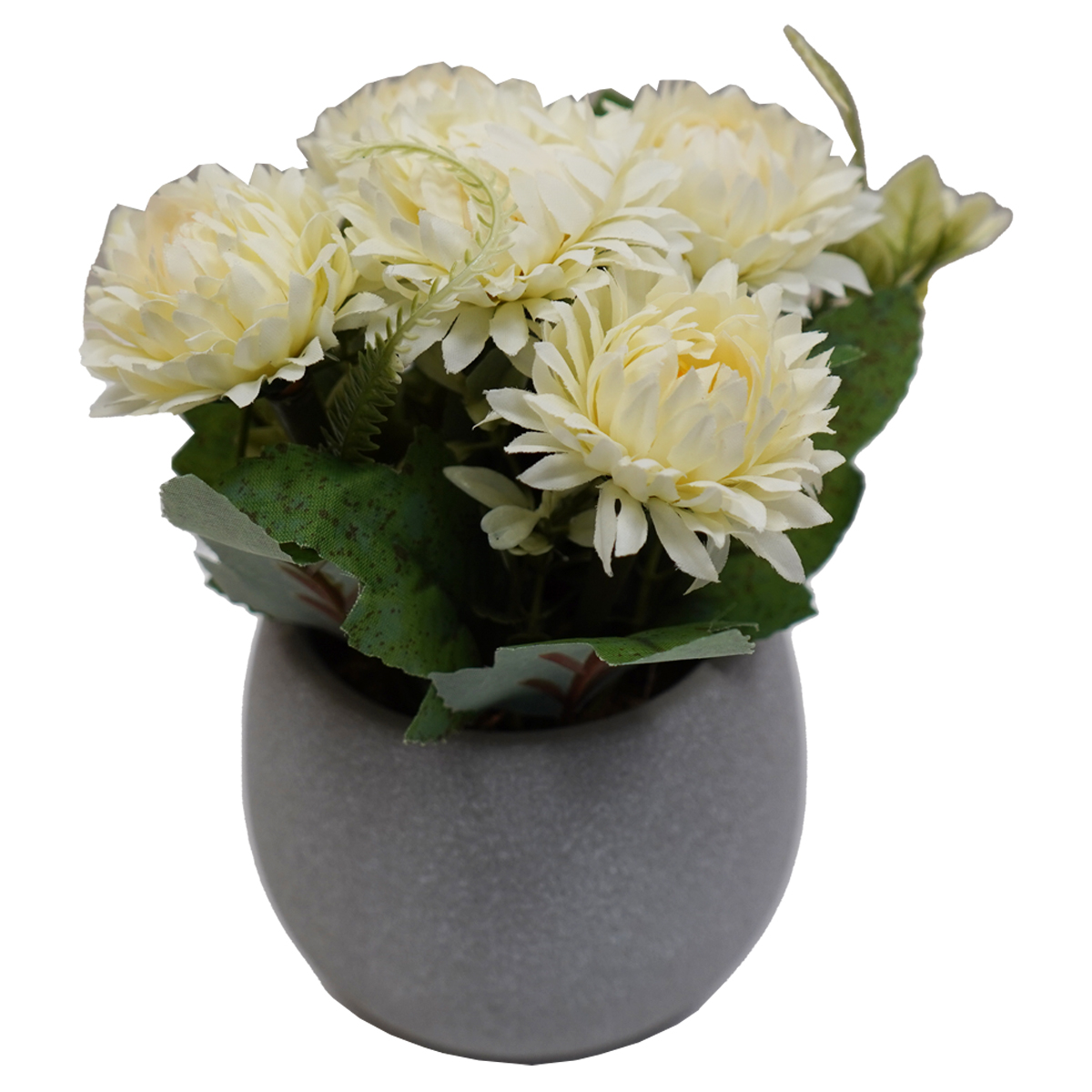 Cream Flowers in Grey Pot