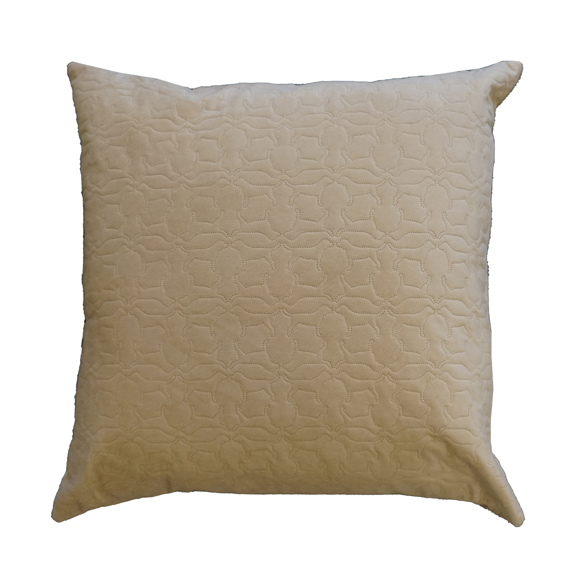 Geri Beige Filled Cushion 55x55cm