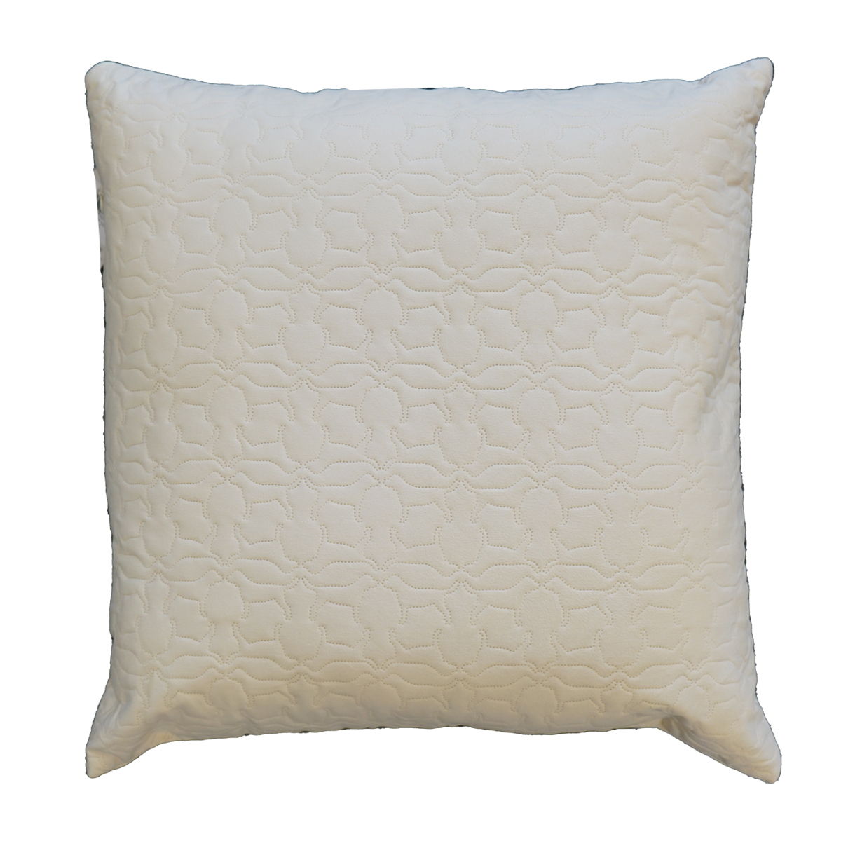 Geri Natural Filled Cushion 55x55cm