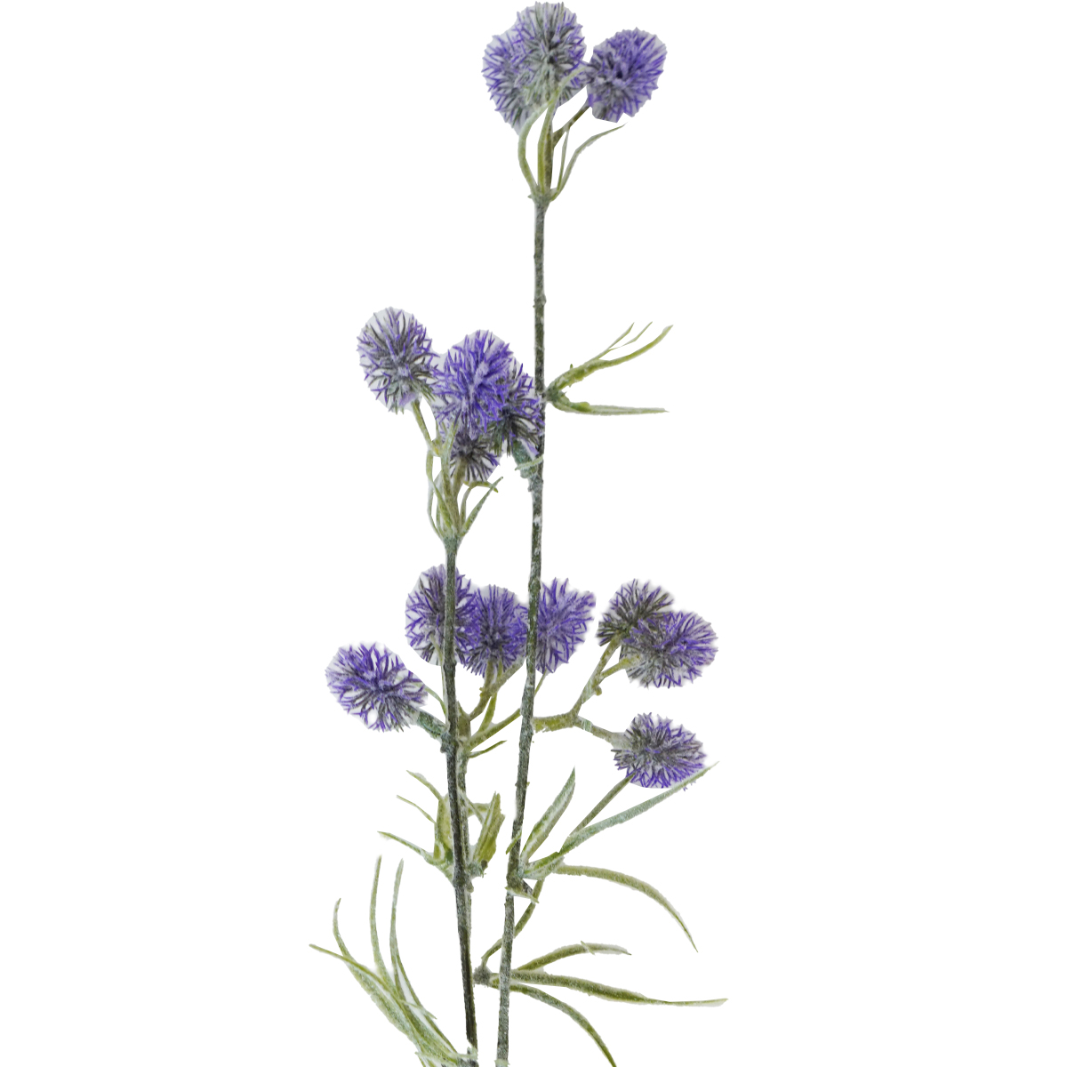 Lavender Lilac Stem