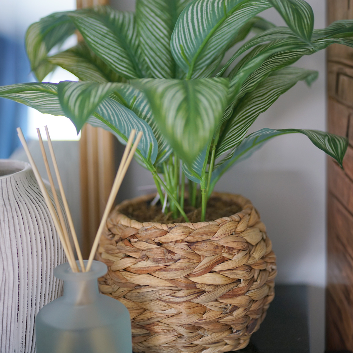 Plant In Rattan Style Pot
