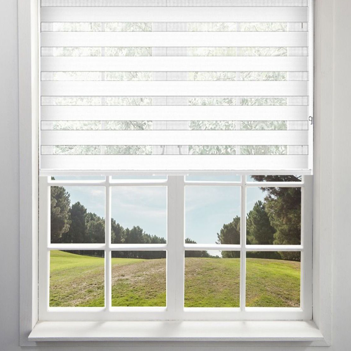 Day and Night White Roller Blind